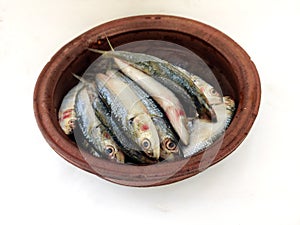 Close up view of Fresh Indian oil sardine on a Sand pot,White Background