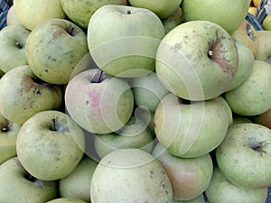 Close up view of fresh organic greenish apples arraged in fruit basket