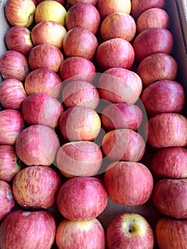 Close up view of fresh organic reddish apples arraged in fruit basket