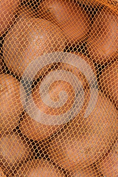 Red Potatoes in Net