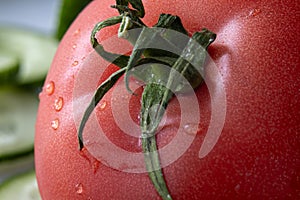 Close-up view of a fresh red tomato with green stem and water droplets, isolated against a soft backgroun photo
