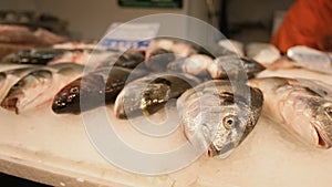 Close up view of fresh selling fishes in traditional raw city fish market, street food industry