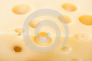 Close up view of fresh yellow cheese with wholes.