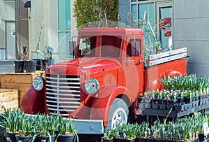 Close up view of the front end of a beautifully restored vintage truck automobile. Old vintage American red pickup car