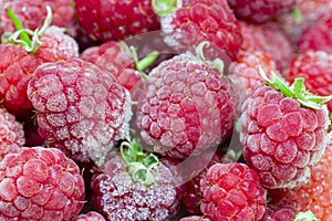 Close-up view on frozen fresh raspberries on a branch, food background. Selective focus