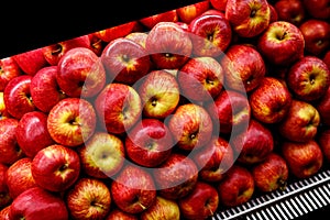 Close up view of fruits shelf in supermarket. Apple background