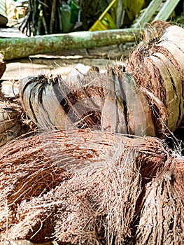 Close up view of Full Frame Shot Of Coconut Coir Ready For Sale At Market on the ground