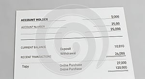 Generic Financial Statement Document Mockup