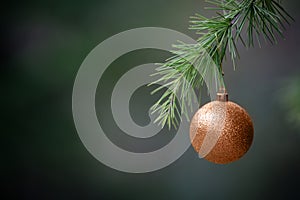 Close-up view of golden ball as decoration hanging on the branches of a Christmas tree and sparkling in the sunshine