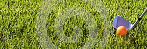 Close up view of golf club and orange golf ball on tie against green grass. Web banner.- Image