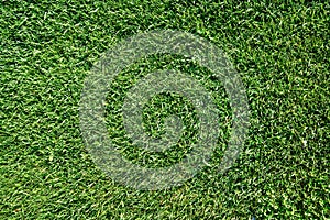 Close up view of green grass or lawn of a play ground, park or field