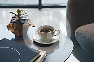 Close-up view of green succulent, cup of coffee and books