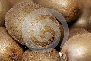 Close-up view of a group of kiwifruit
