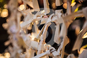 Close-up view Group of Omikuji, a fortune telling paper strip, tied on the ropes with blurred background.