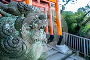 Close-up view of guardian lion stone statue in Fushimi Inari-Taisha Shinto Shrine in Kyoto, Japan.