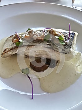 Hake piece made in the spanish vasque way, in pil-pil