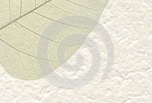 Close up view of hand crafted rough white paper background with dried leave.