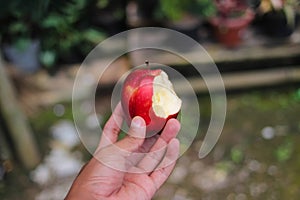 Hand holding half-eaten red apple with a blurred background in the backyard