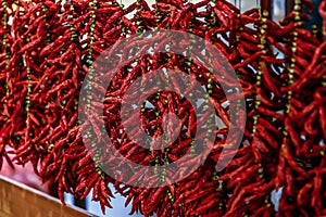 Close up view of hanging hot dried chili peppers on the local farmers market Mercado dos Lavradores in Funchal Madeira