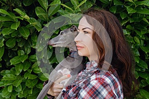 Close up view of happy woman with greyhound dog on the green leaves background. Nature and animals concept