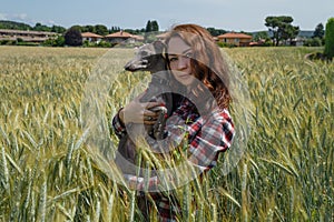 Close up view of happy woman with greyhound dog in the middle of a wheat field. Nature and animals concept