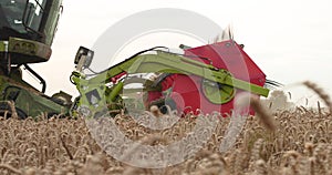 A close-up view of a harvester cutting wheat in a field.