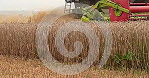 A close-up view of a harvester cutting wheat in a field.