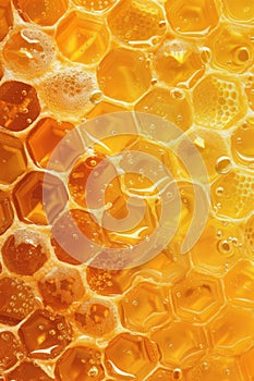 Close Up View of Honey Cells