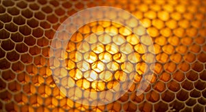 A close-up view of a honeycomb structure, featuring a series of hexagonal cells. The cells are