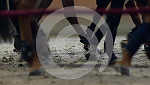 Close-up view on the hooves of horses running through a dusty field.