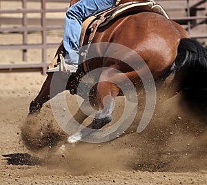 A close up view of a horse and flying dirt.