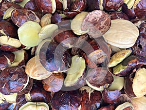 A close-up view of jengkol (dogfruit) beans