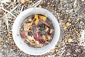 Close-up view of kitchen waste and red wriggler earthworms in worm tower for vermicomposting