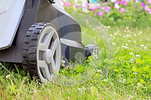 Close up view of lawn mower on green grass in the garden
