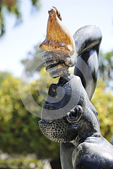 Close-up View of Le Negres Marron