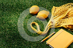 close up view of lemons, net and textbook with pencil