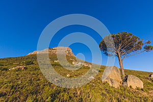 Close up view of Lion`s Head Mountain in Cape Town at sunrise