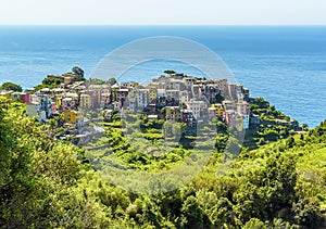 A close-up view looking down onto the village of Corniglia, Italy