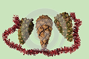 Close up view macro of  cute Christmas decorations  pine cones isolated on green background. Christmas holidays concept.