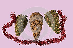 Close up view macro of  cute Christmas decorations  pine cones isolated on pink background.