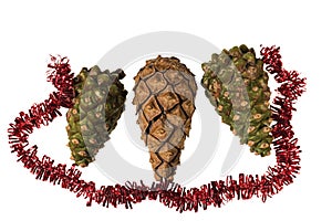 Close up view macro of cute Christmas decorations pine cones isolated on white background. Christmas holidays concept.