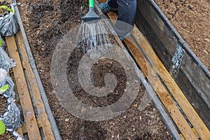 Close up view of man in greenhouse watering deepening in garden bed before planting plant.