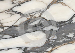 A close-up view of a marble surface with intricate veining. The