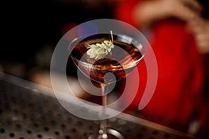 close-up view of martini glass with alcoholic drink decorated with green plant of hop