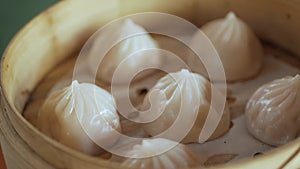 close up view Motion video of Xiao Long Bao, Streamed Pork Dumplings Taiwan shanghai chinese dimsum food in the bamboo streamer