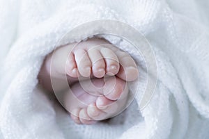 close up view of a newborn baby feet isolated on white and covered with a blanket