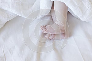 close up view of a newborn baby feet  on white and covered with a blanket