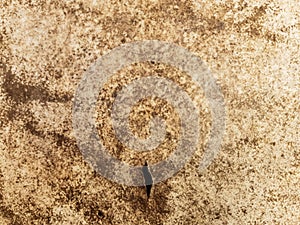 Close-up view of an old antique drumhead surface. Natural leather texture background from musical instrument. photo