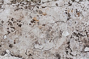 close-up view of old grey weathered wall