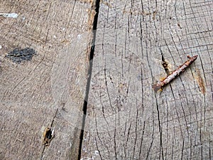 old, rusty nails on a wooden board